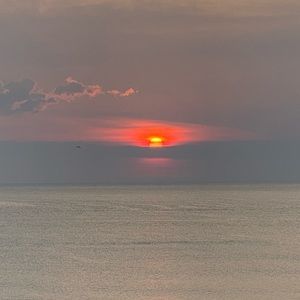 Meet your Posher, Janice